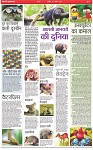 Page-5